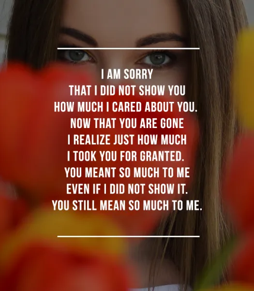 I Am Sorry Greetings Greeting Cards 52071