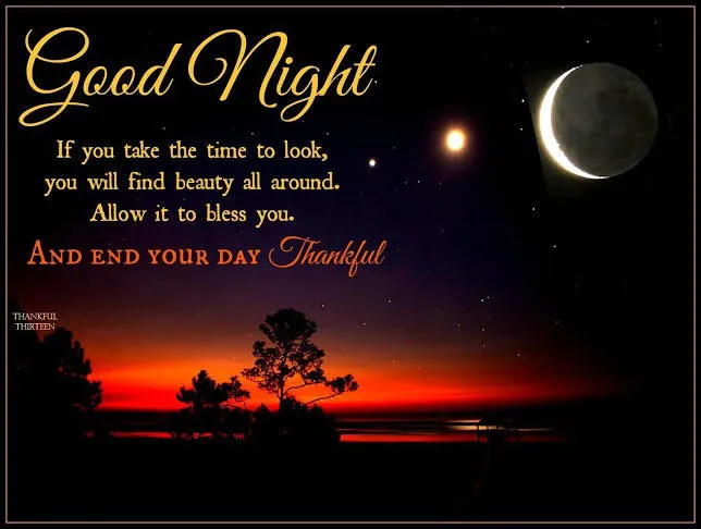 Good Night Greetings Greeting Cards 9323