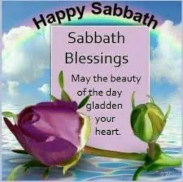 Shabbat Shalom Greeting Cards 51011