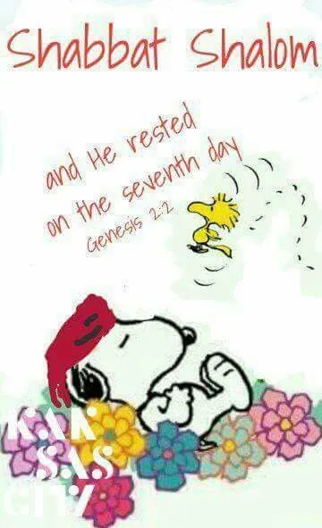 Shabbat Shalom Greeting Cards 51005