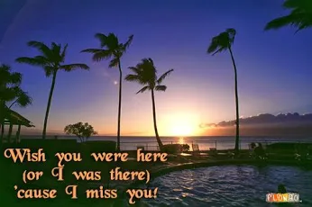 I Miss You Greetings Greeting Cards 13779