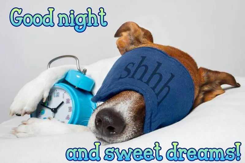 Good Night Greetings Greeting Cards 9456