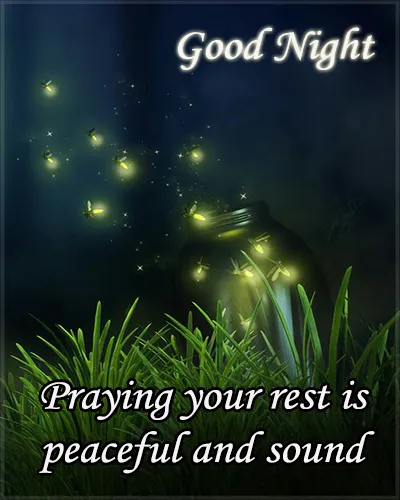 Good Night Greetings Greeting Cards 25970