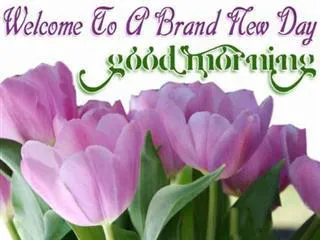 Good Morning Wishes Greeting Cards 6737