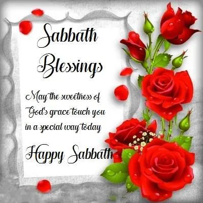 Shabbat Shalom Greeting Cards 51006