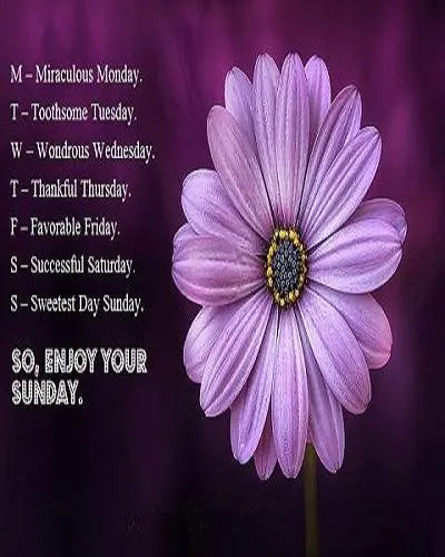 Sunday Greetings Greeting Cards 10053