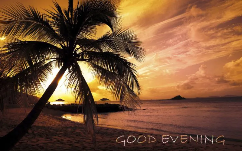 Good Evening Greetings Greeting Cards 8947