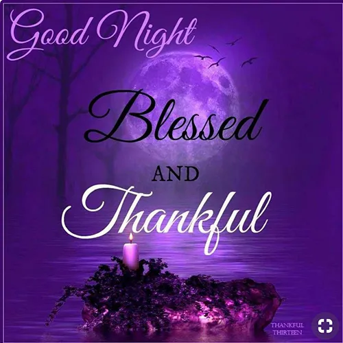 Good Night Greetings Greeting Cards 25813