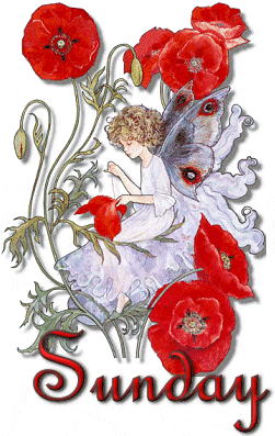 Sunday Greetings Greeting Cards 10416