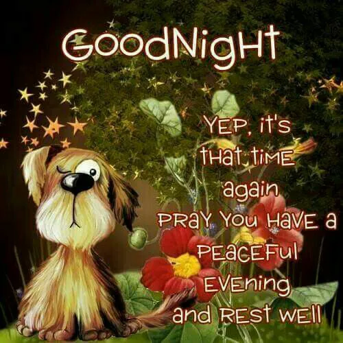 Good Night Greetings Greeting Cards 25812