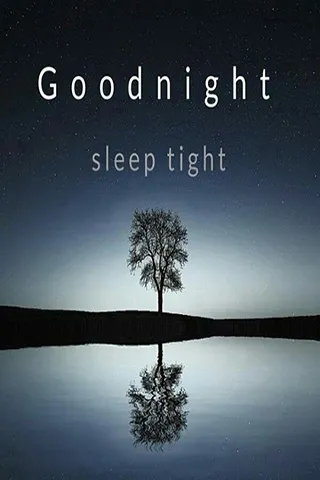 Good Night Greetings Greeting Cards 25859