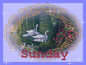 Sunday Greetings Greeting Cards 10189