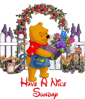 Sunday Greetings Greeting Cards 10010
