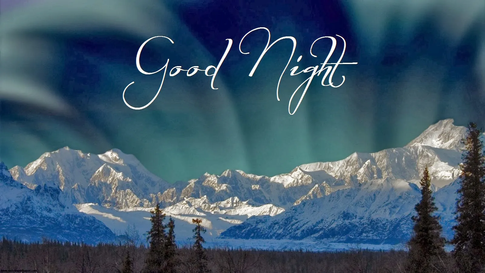 Good Night Greetings Greeting Cards 9368