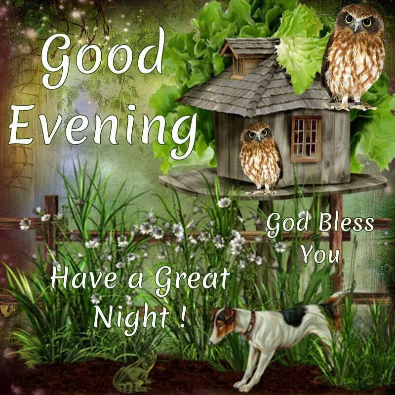 Good Evening Greetings Greeting Cards 9039