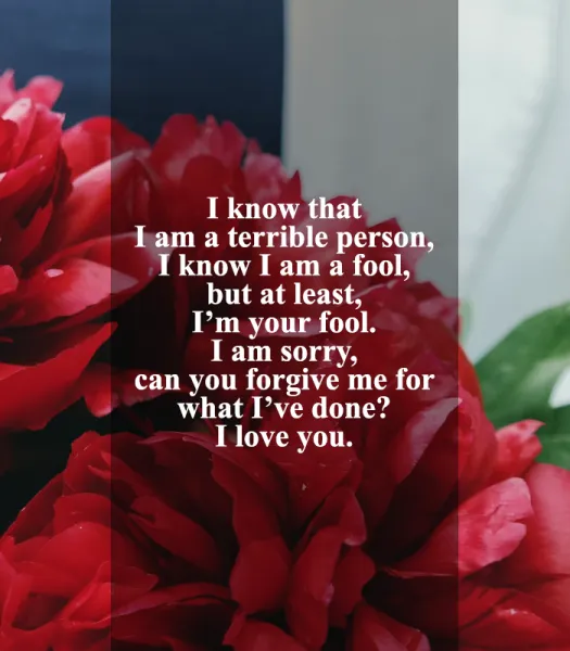 I Am Sorry Greetings Greeting Cards 52077