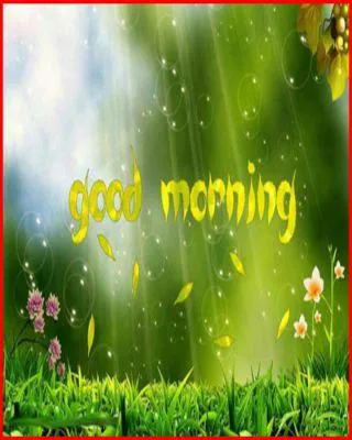 Good Morning Wishes Greeting Cards 6697