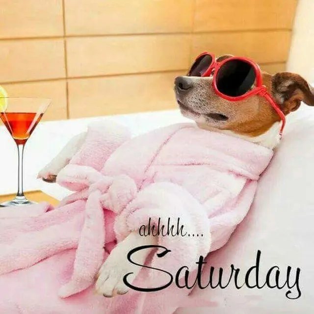 Saturday Greetings Greeting Cards 15244