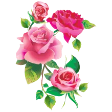 Birthday Greetings Greeting Cards 3823