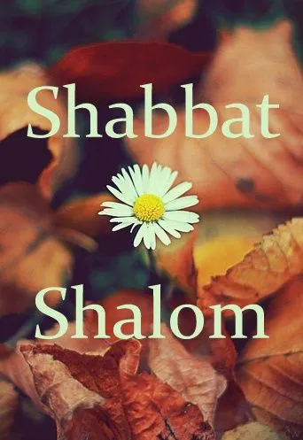 Shabbat Shalom Greeting Cards 51010
