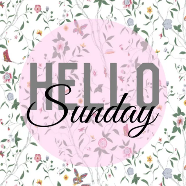 Everyday Greetings Greeting Cards 14405
