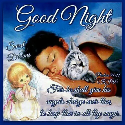 Good Night Greetings Greeting Cards 25820