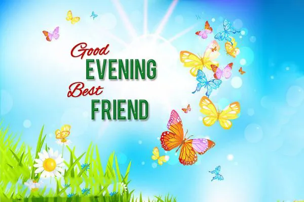Good Evening Greetings Greeting Cards 8940