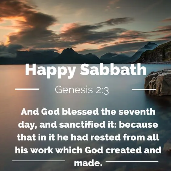 Shabbat Shalom Greeting Cards 51014