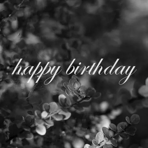 Birthday Greetings Greeting Cards 3300
