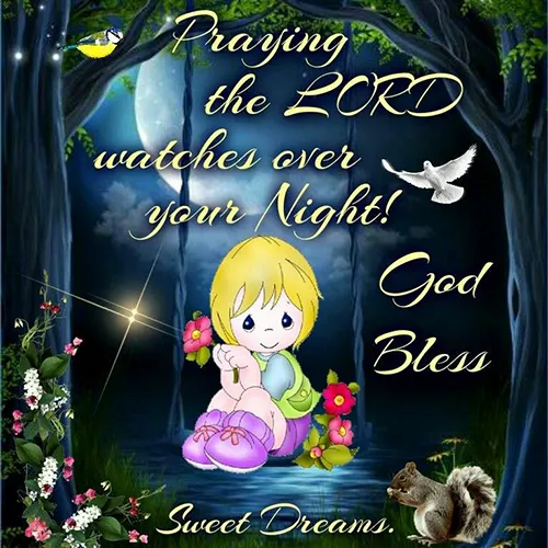 Good Night Greetings Greeting Cards 25849