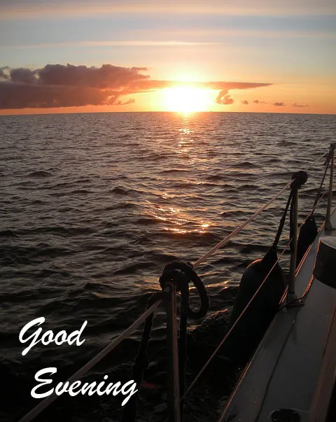 Good Evening Greetings Greeting Cards 8816