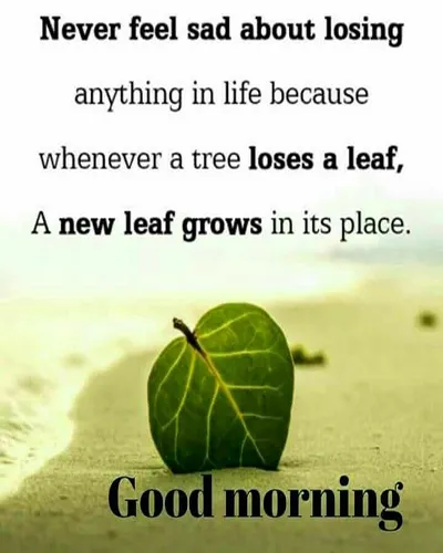 Good Morning Wishes Greeting Cards 25688