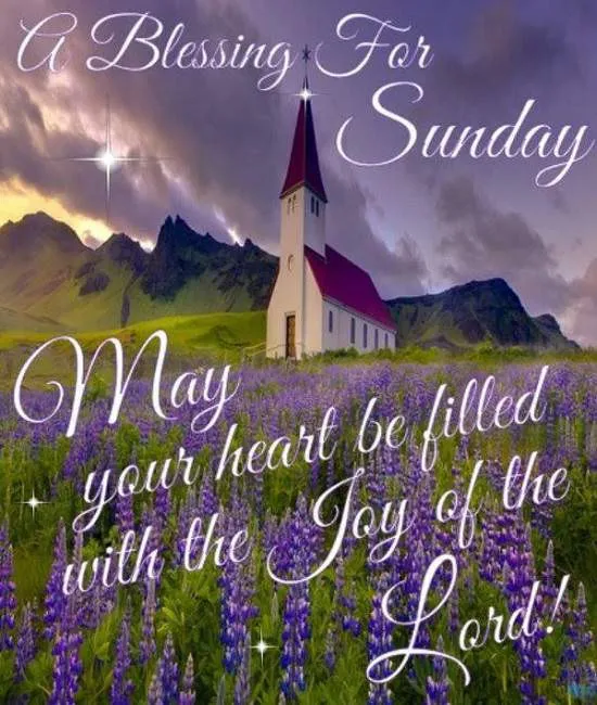 Sunday Greetings Greeting Cards 10099