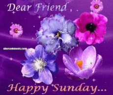 Sunday Greetings Greeting Cards 10012