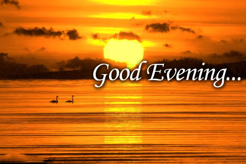 Good Evening Greetings Greeting Cards 9027
