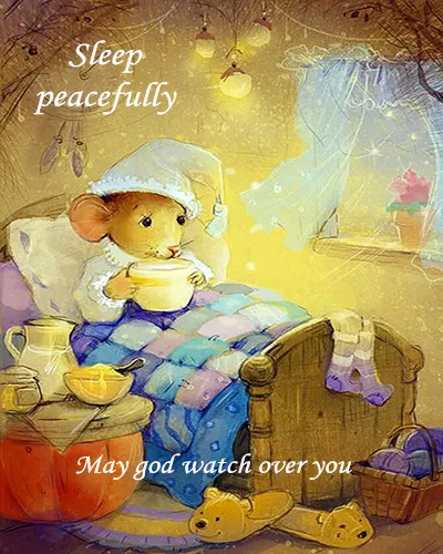 Good Night Greetings Greeting Cards 26034