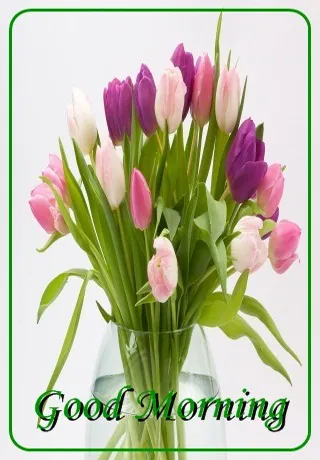 Saturday Greetings Greeting Cards 15290