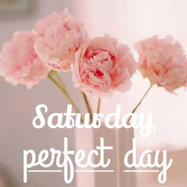 Saturday Greetings Greeting Cards 15237