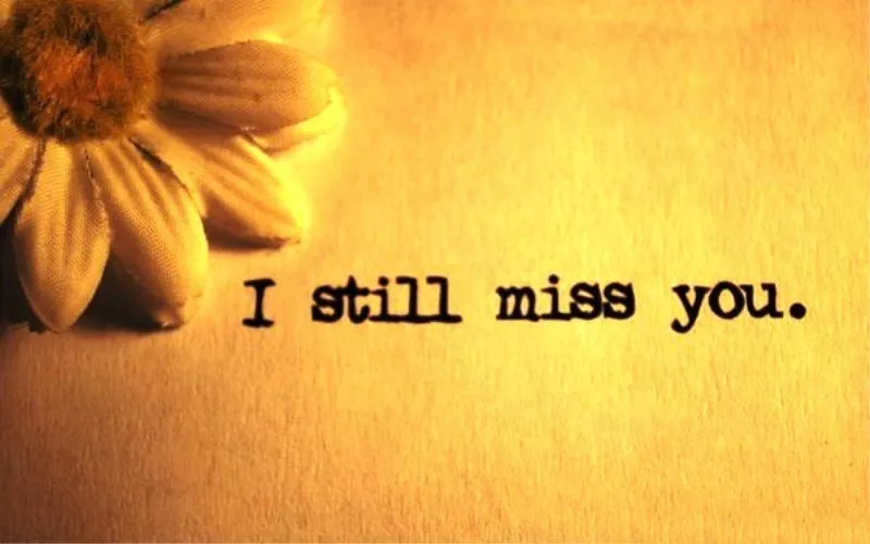 I Miss You Greetings Greeting Cards 13534