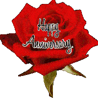 Anniversary Greetings Greeting Cards 99032