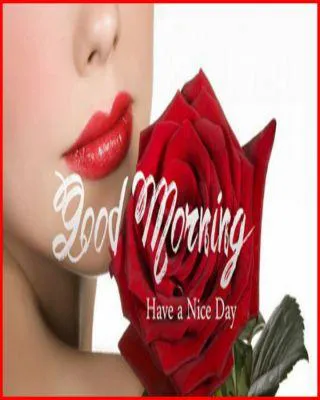 Good Morning Wishes Greeting Cards 6650
