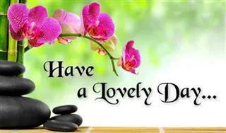 Good Morning Wishes Greeting Cards 6645