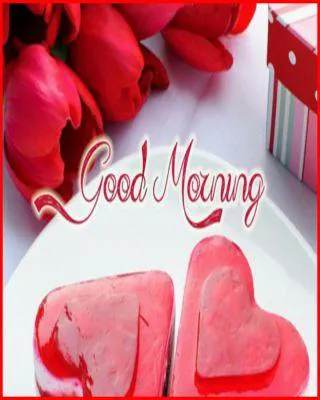 Good Morning Wishes Greeting Cards 6648