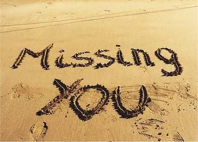 I Miss You Greetings Greeting Cards 13506