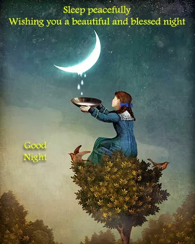 Good Night Greetings Greeting Cards 25981