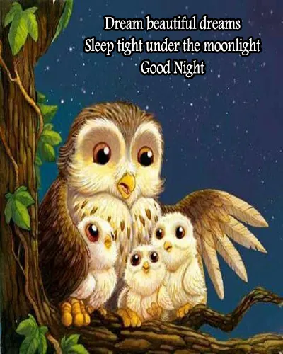 Good Night Greetings Greeting Cards 25984