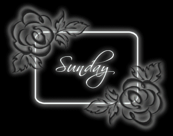Sunday Greetings Greeting Cards 10417