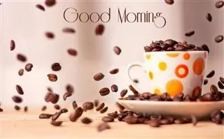 Good Morning Wishes Greeting Cards 6640