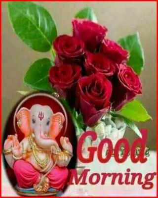 Good Morning Wishes Greeting Cards 6641