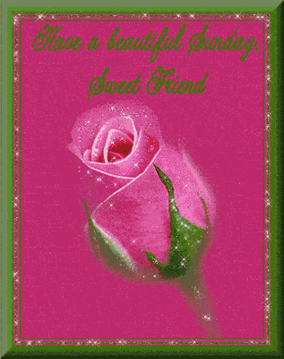Sunday Greetings Greeting Cards 10206